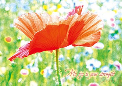 Poster a4 My joy is your strength