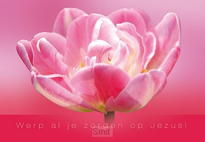 Wenskaart werp al je zorgen