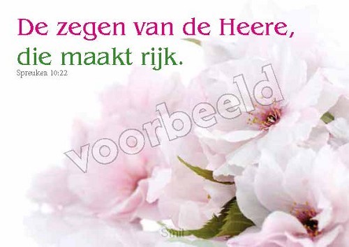 17-01  mix 10 hoogglans zonder envelop