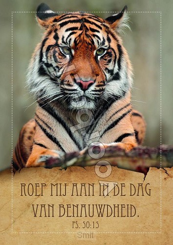 20-16 mix 10 hoogglans zonder envelop