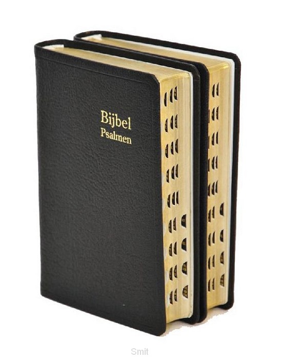 Dameszakbijbel D34R ritmisch leer goudsn