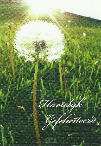 Ansichtkaart met tekst MT195