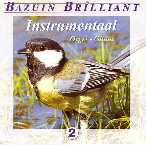 Kruis russisch orthodox brons 36 cm