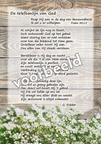 82-03 A5 gedichten set5