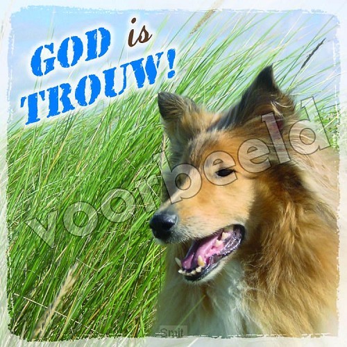 84-03 luxe kaart glanzend zonder envelop