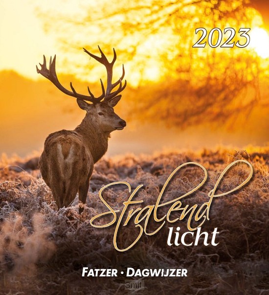 Kalender 2024 hsv stralend licht