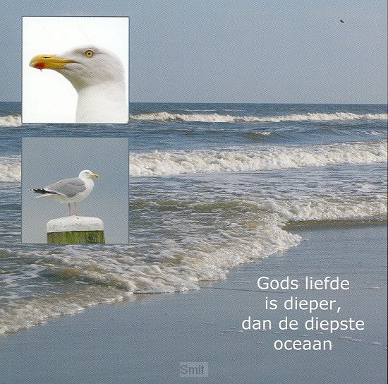 Wenskaart zee