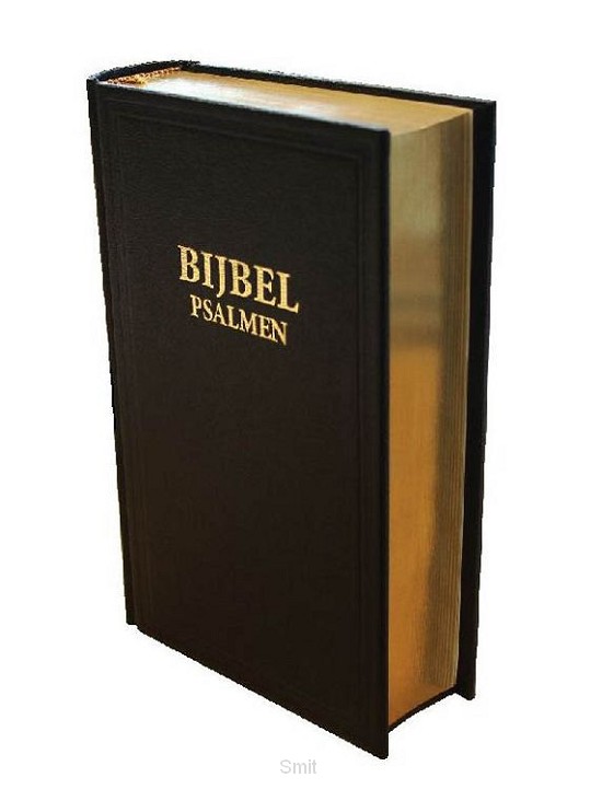 Kerkbijbel K31 psalmen kunstl goudsnee