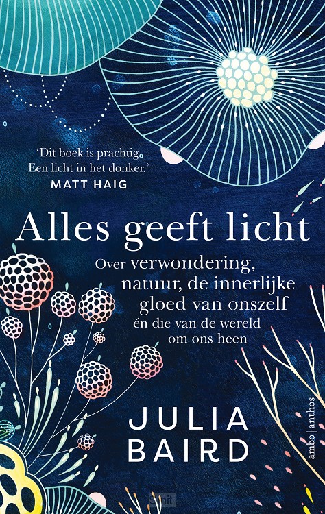 Alles geeft licht