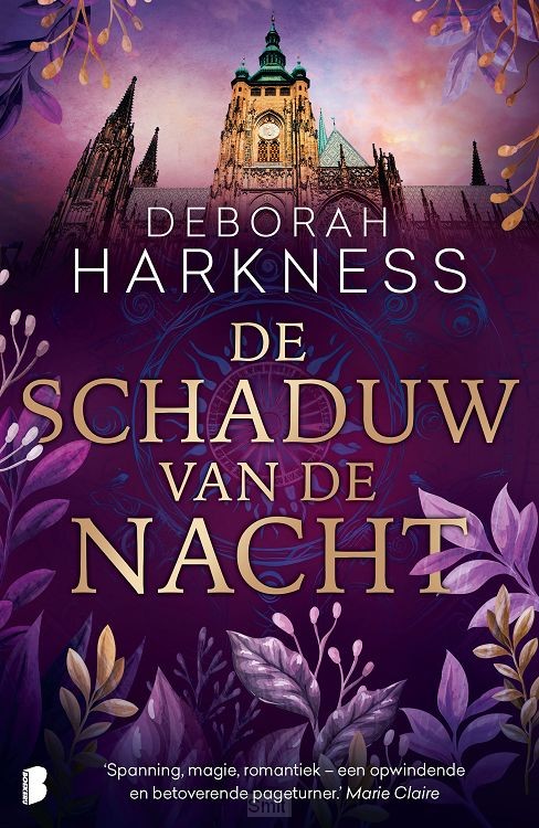 De schaduw van de nacht