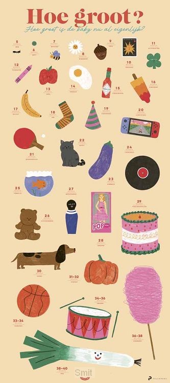 Poster Babygroeiposter