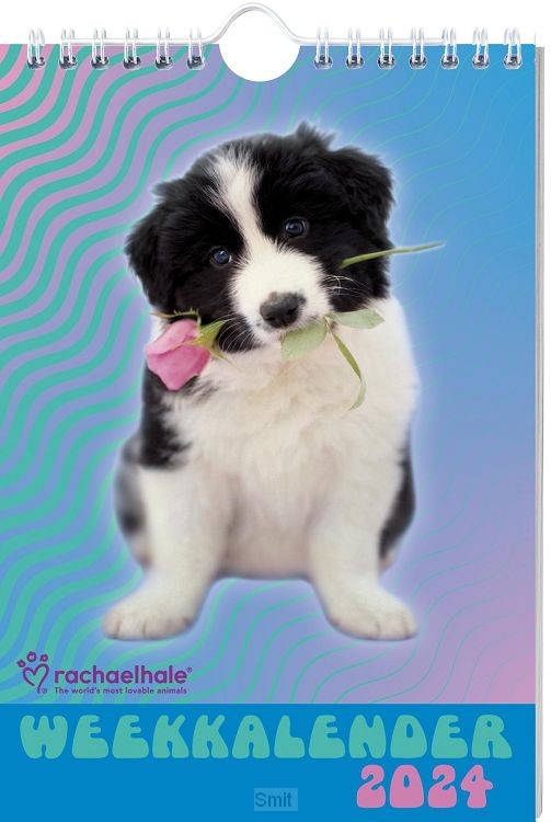 Rachael Hale Honden weekkalender / 2024