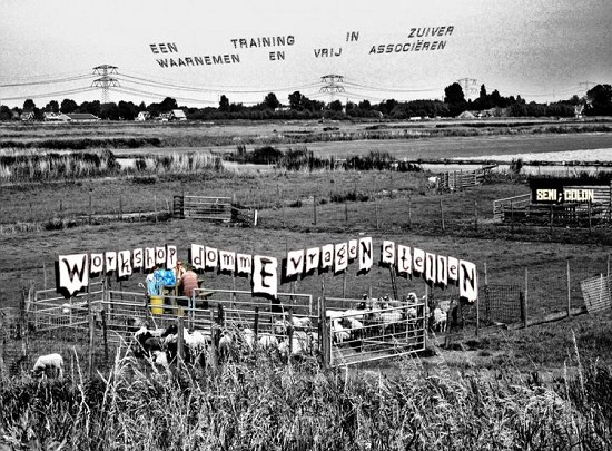 WorkshoP dommE vrageN stelleN