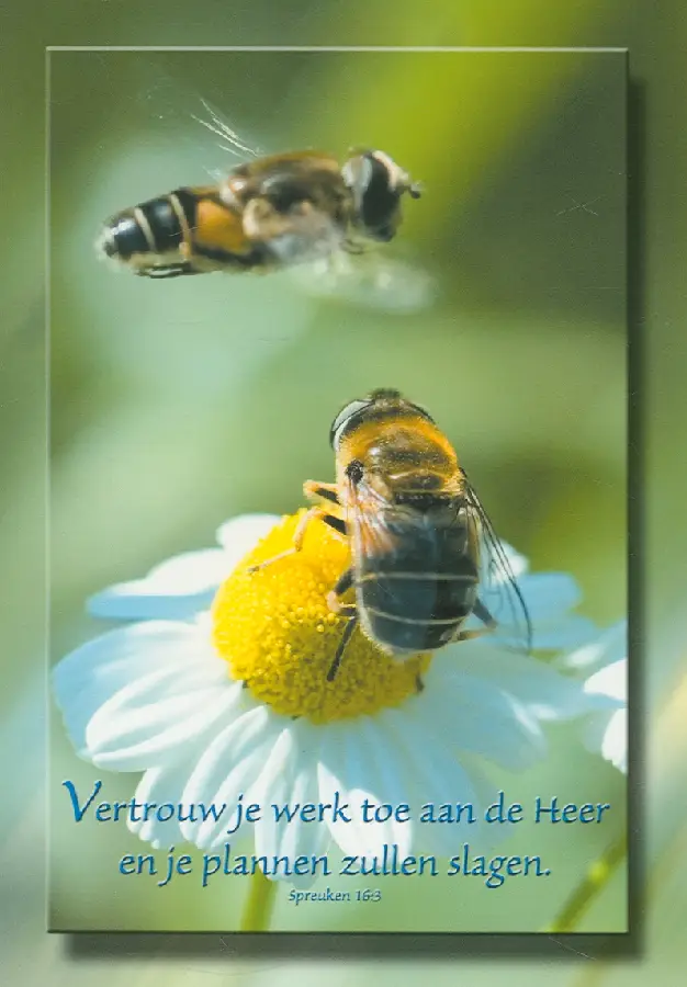Wenskaart spreuken 16:3