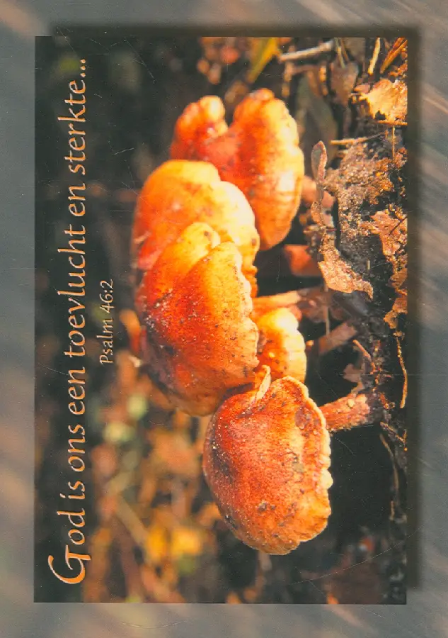 Wenskaart psalm 46:2