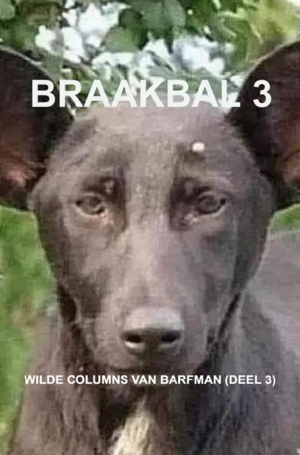 Braakbal 3