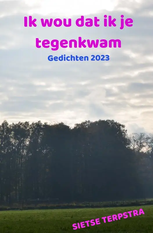 Ik wou dat ik je tegenkwam