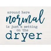 Around here normal is just a setting