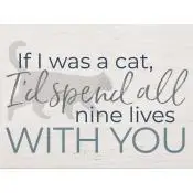 If I was a cat I''d spend all nine lives