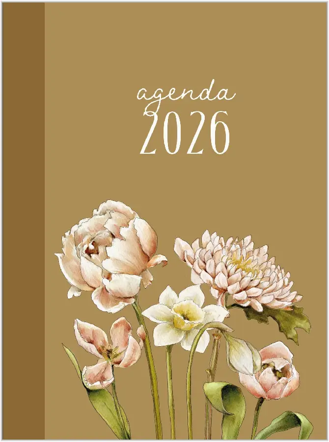Agenda Studio Schilderachtig 2026