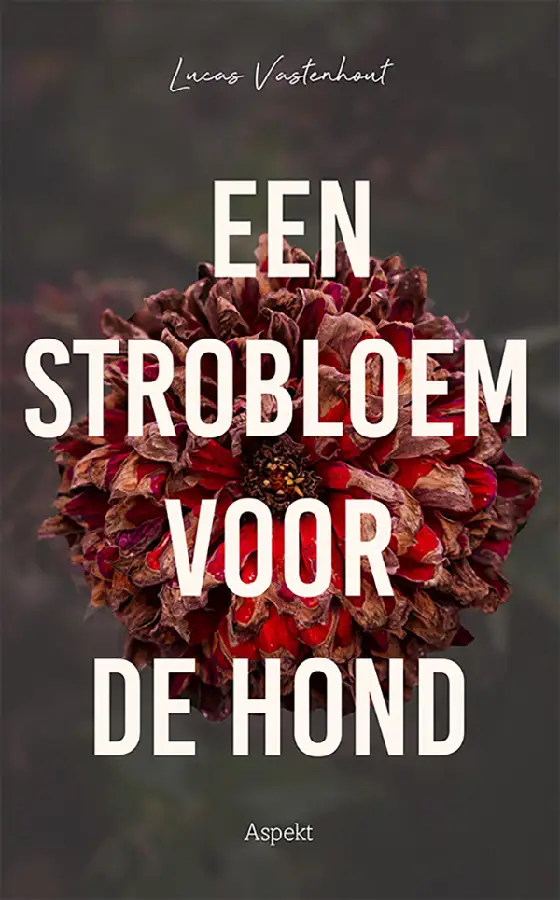 Een strobloem voor de hond