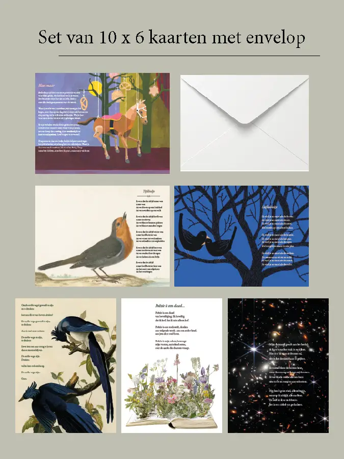 Set van 10 x 6 poëziekaarten