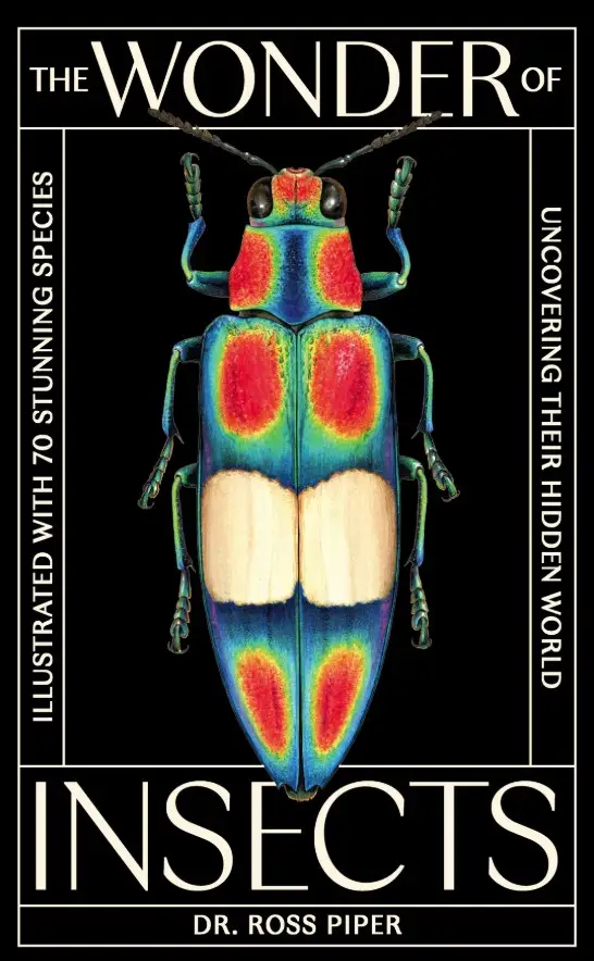 The Wonder of Insects: Uncovering their Hidden World