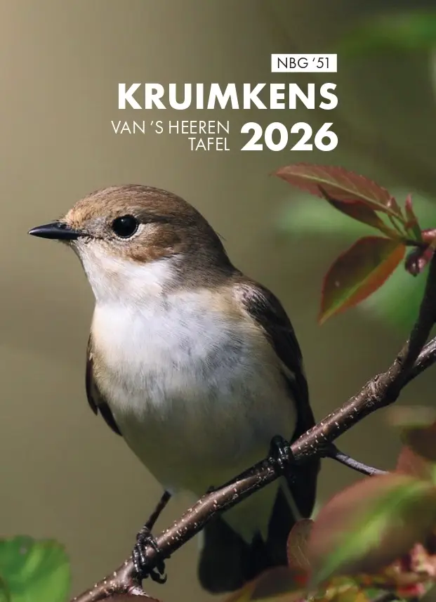 Kruimkens dagboek 2026