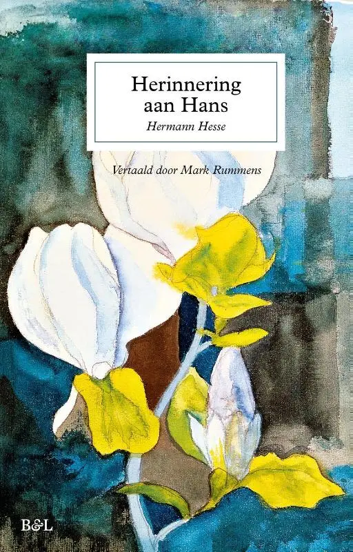 Herinneringen aan Hans