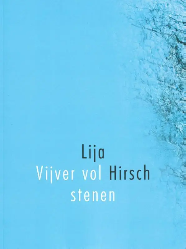 Vijver vol stenen