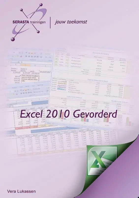 Excel 2010 / Gevorderd