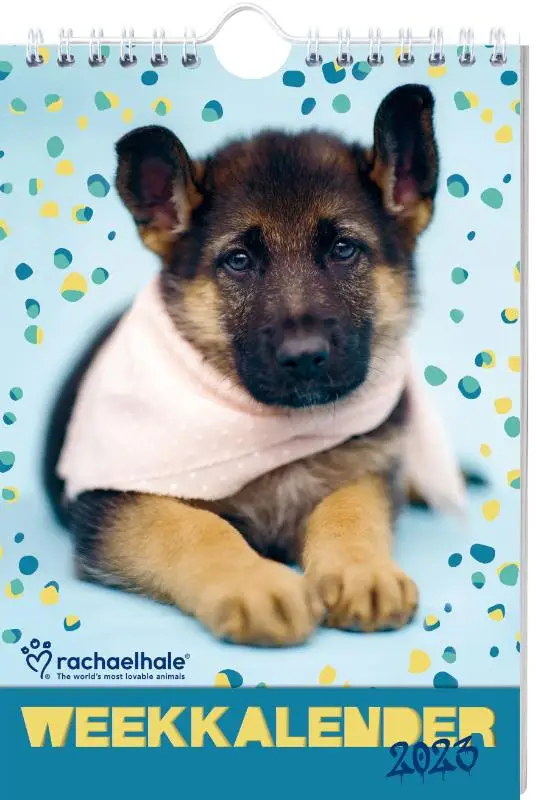 Rachael Hale Hond weekkalender / 2023