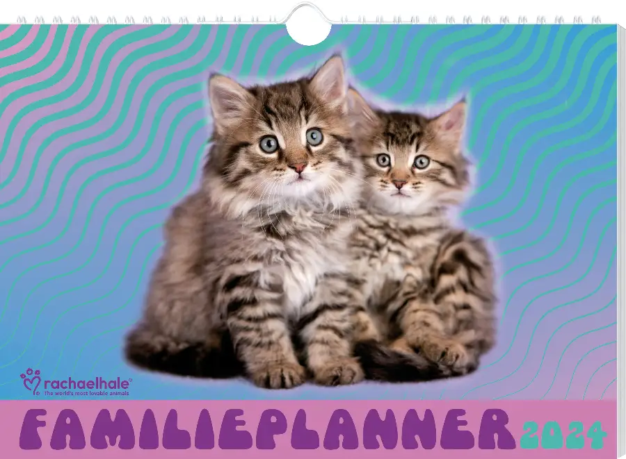 Rachael Hale Katten familieplanner - 2024