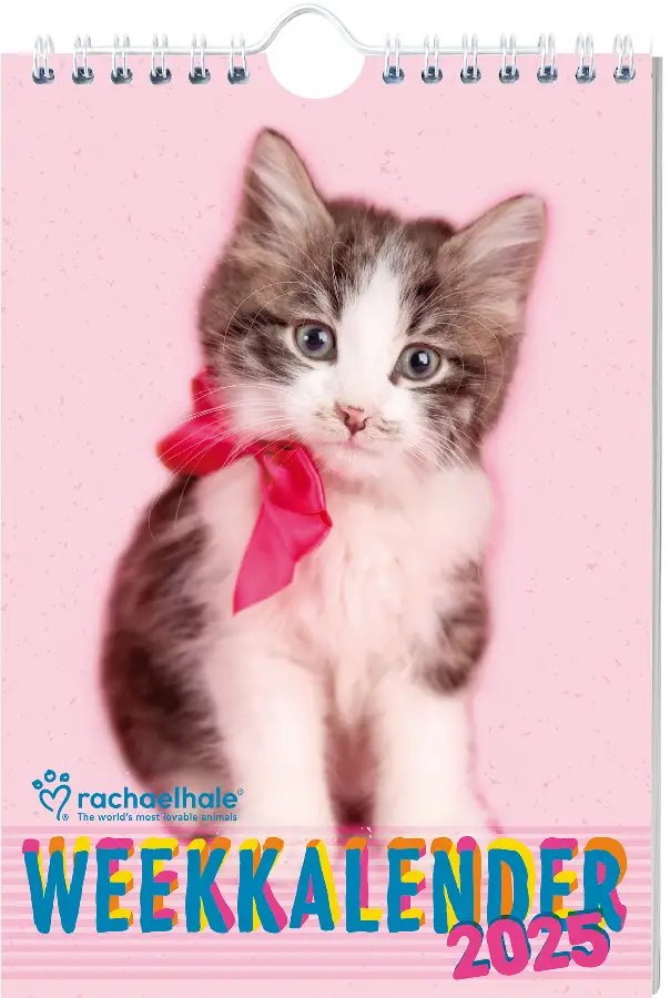 Rachael Hale Katten weekkalender - 2025