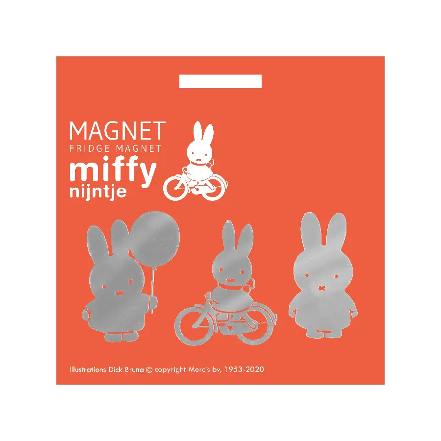 Mijntje-magneten set