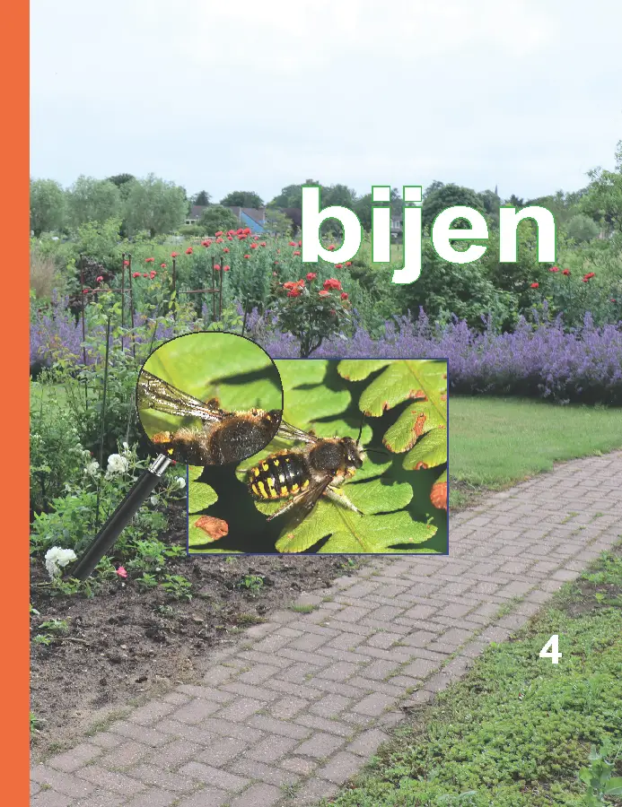 Bijen