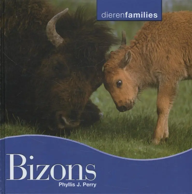Bizons