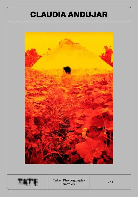 Tate Photography: Claudia Andujar