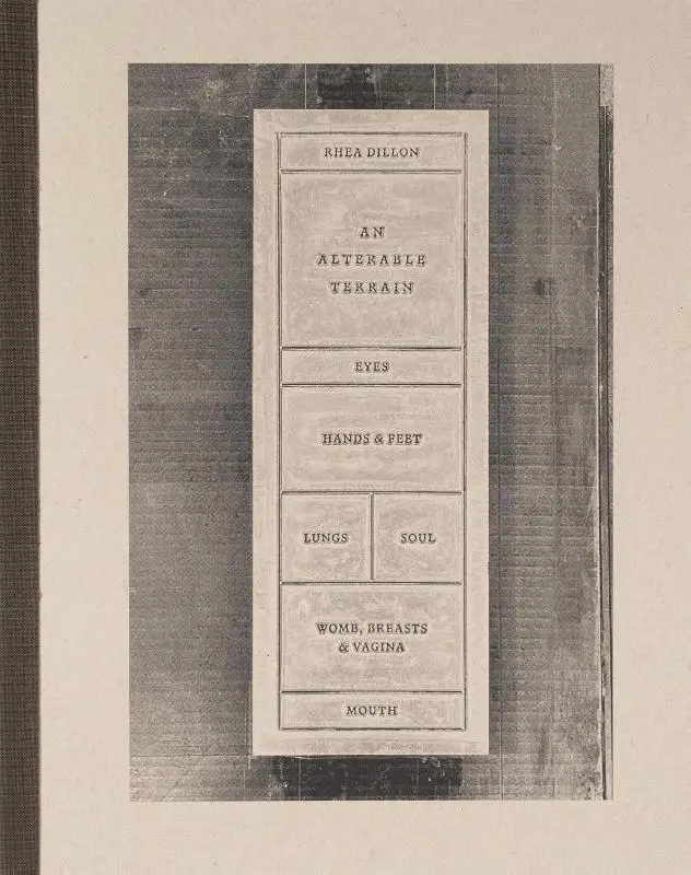 Rhea Dillon: An Alterable Terrain
