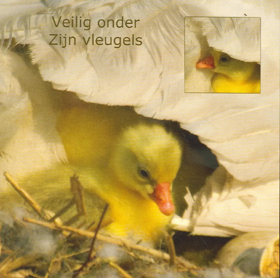 Wenskaart gansjes onder vleugels