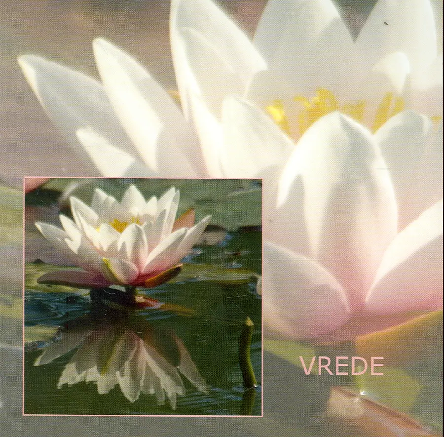 Wenskaart waterlelie wit