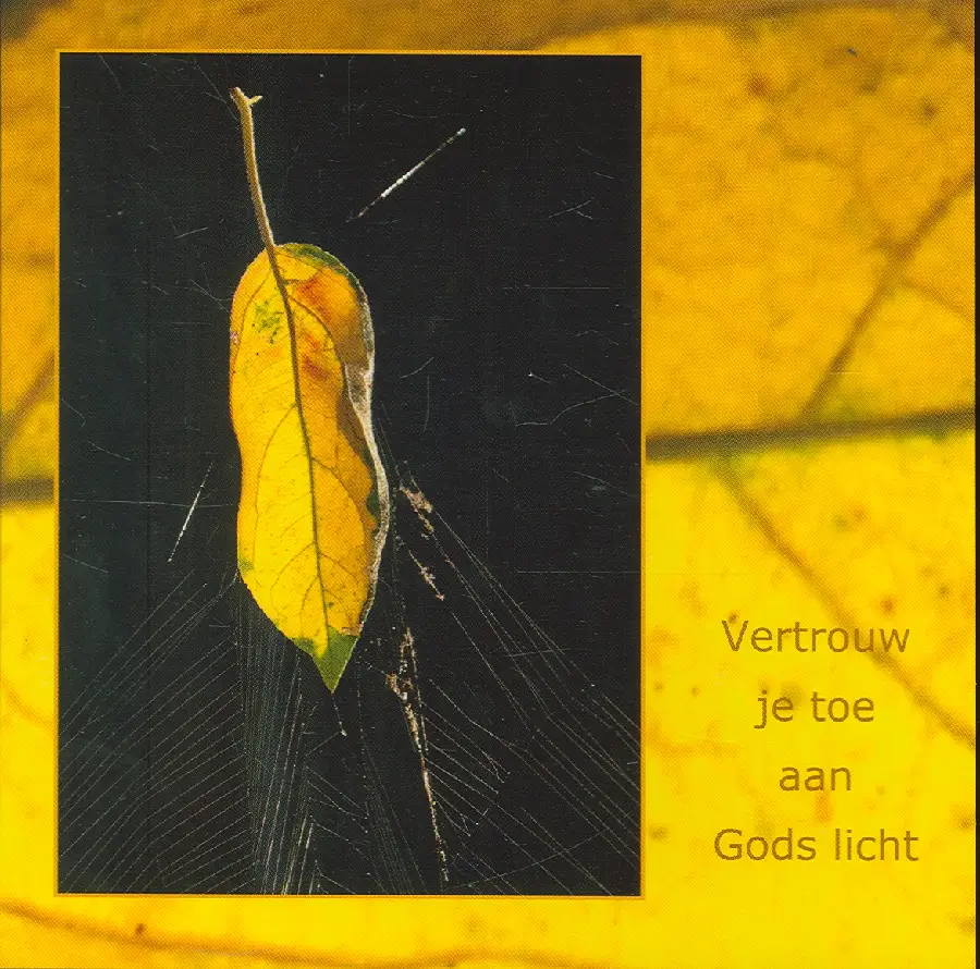 Wenskaart gouden blad