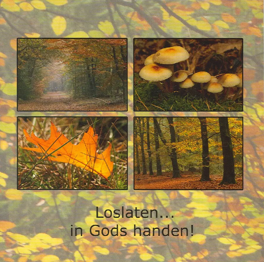Wenskaart herfst