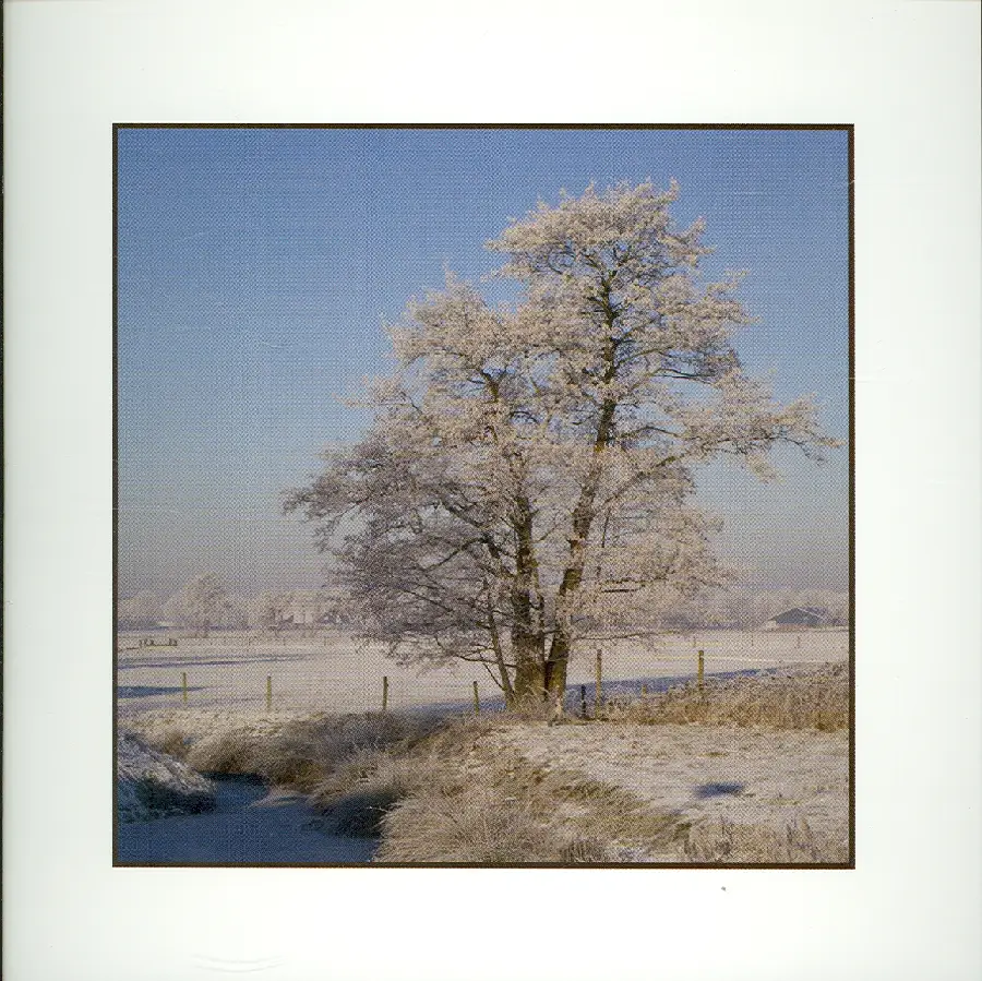 Wenskaart winter