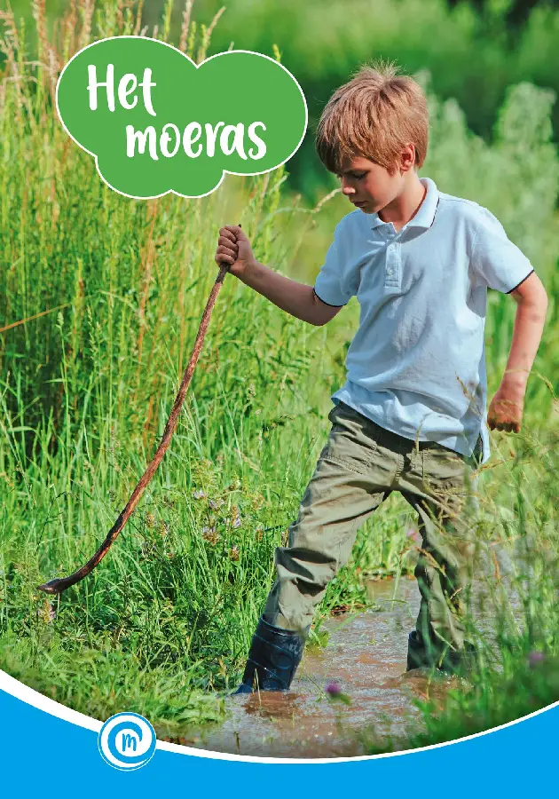 Het moeras