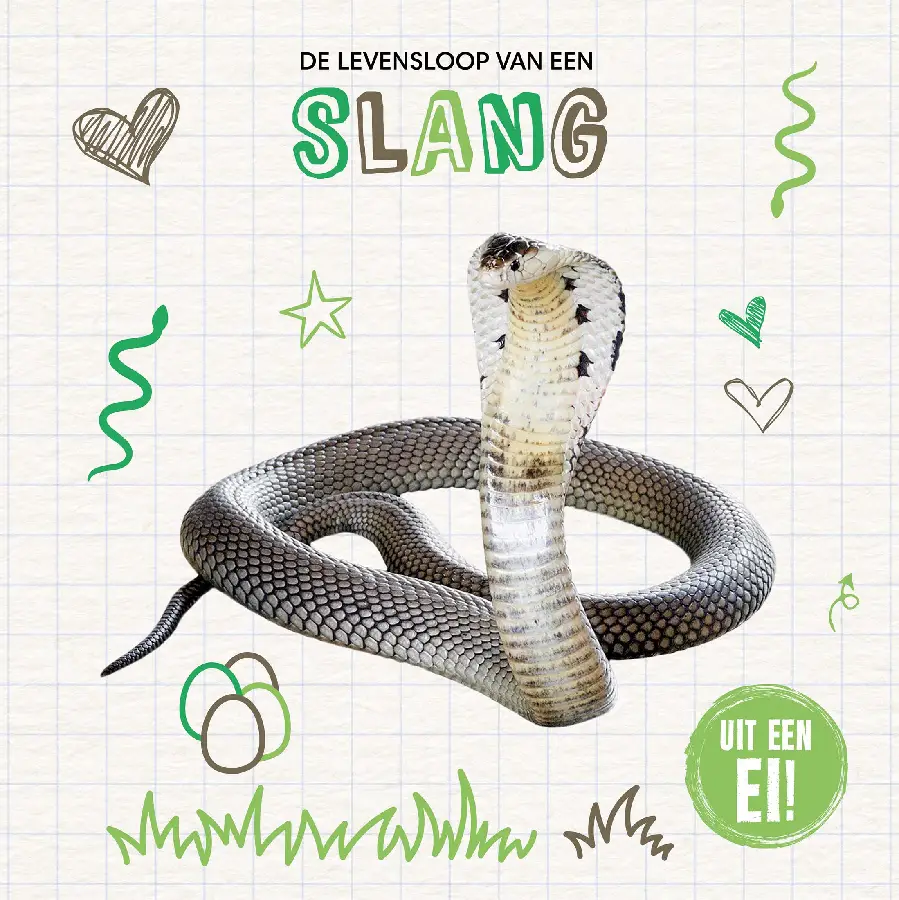 De levensloop van een slang
