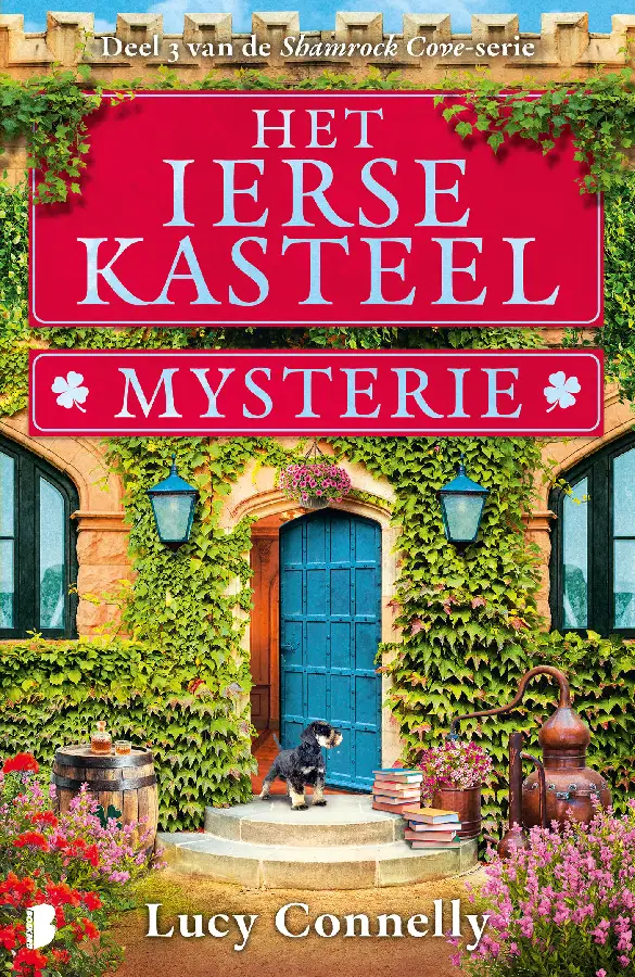 Het Ierse kasteelmysterie