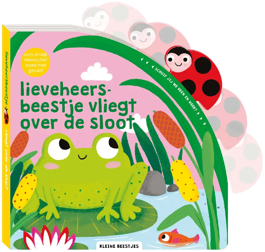 Lieveheersbeestje vliegt over de sloot