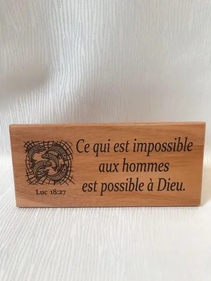 Wandbord 22x10cm ce qui est impossible