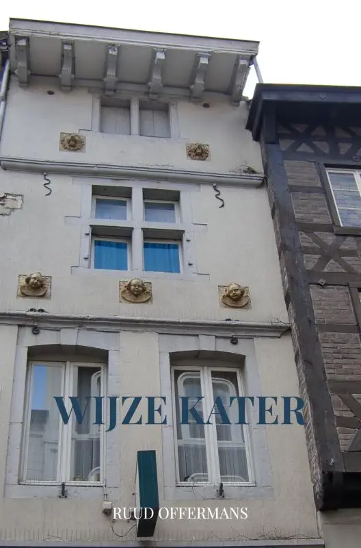 Wijze kater